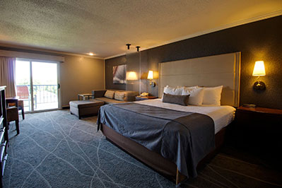 Lake View Balcony | Suite – 1 King Bed